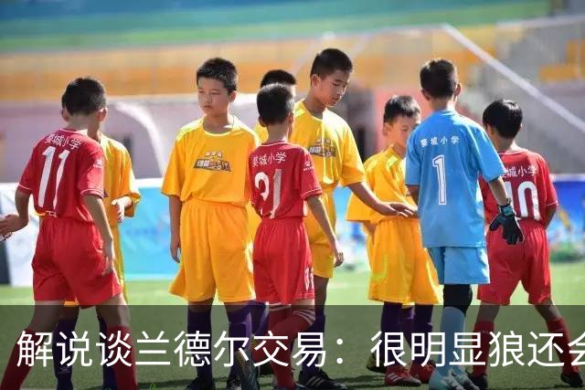 解说谈兰德尔交易：很明显狼还会有操作 没必要主动这么为送而送